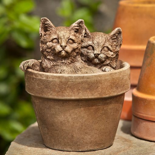 Campania - Sprouts Kittens in a pot A-437