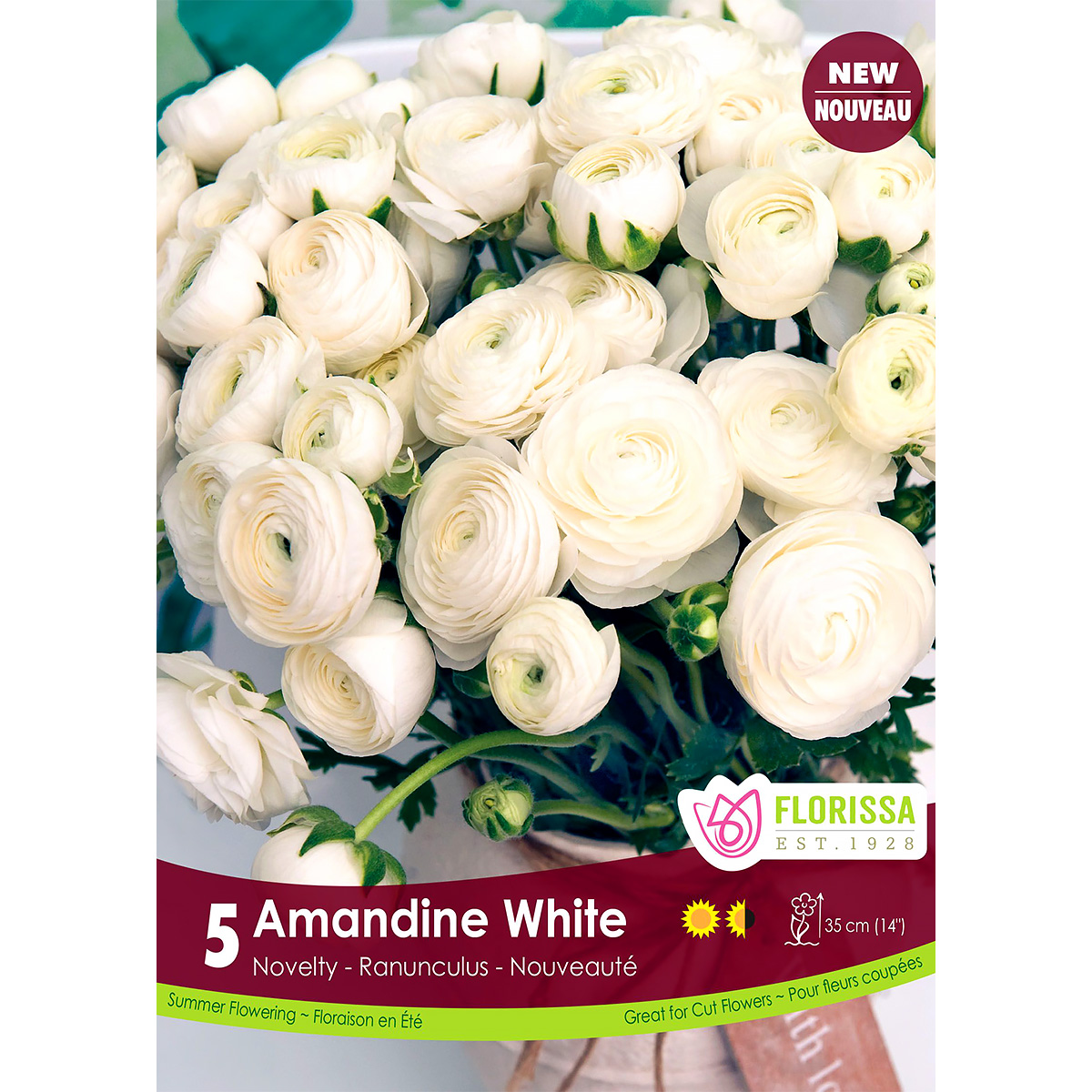 Ranunculus 'Amandine White' -5PK 