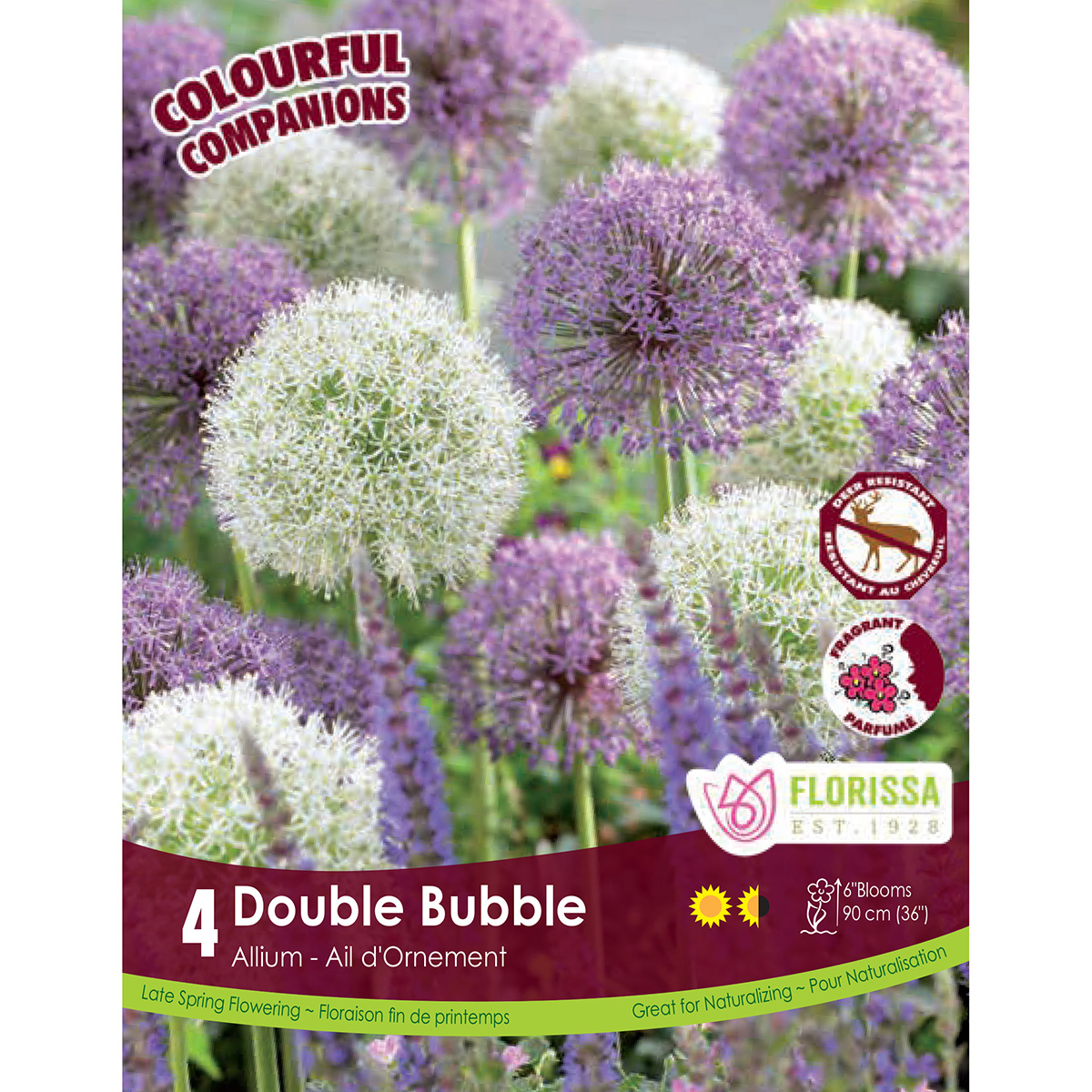 Colourful Companions 'Double Bubble' Allium Bulbs