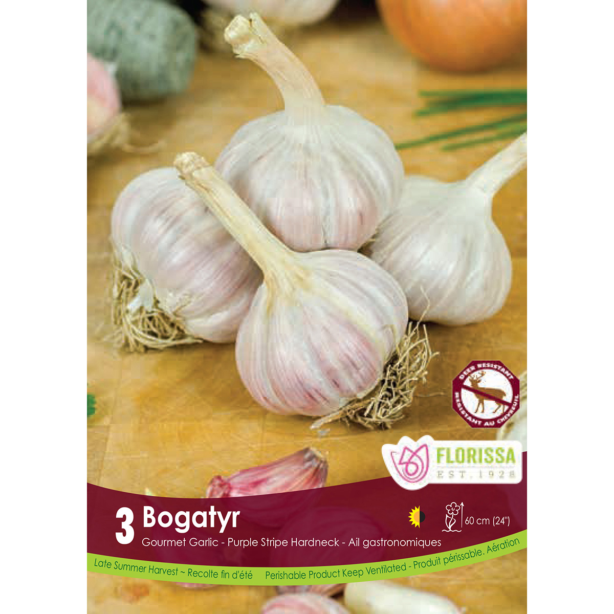 Garlic 'Bogatyr' Bulbs 3PK