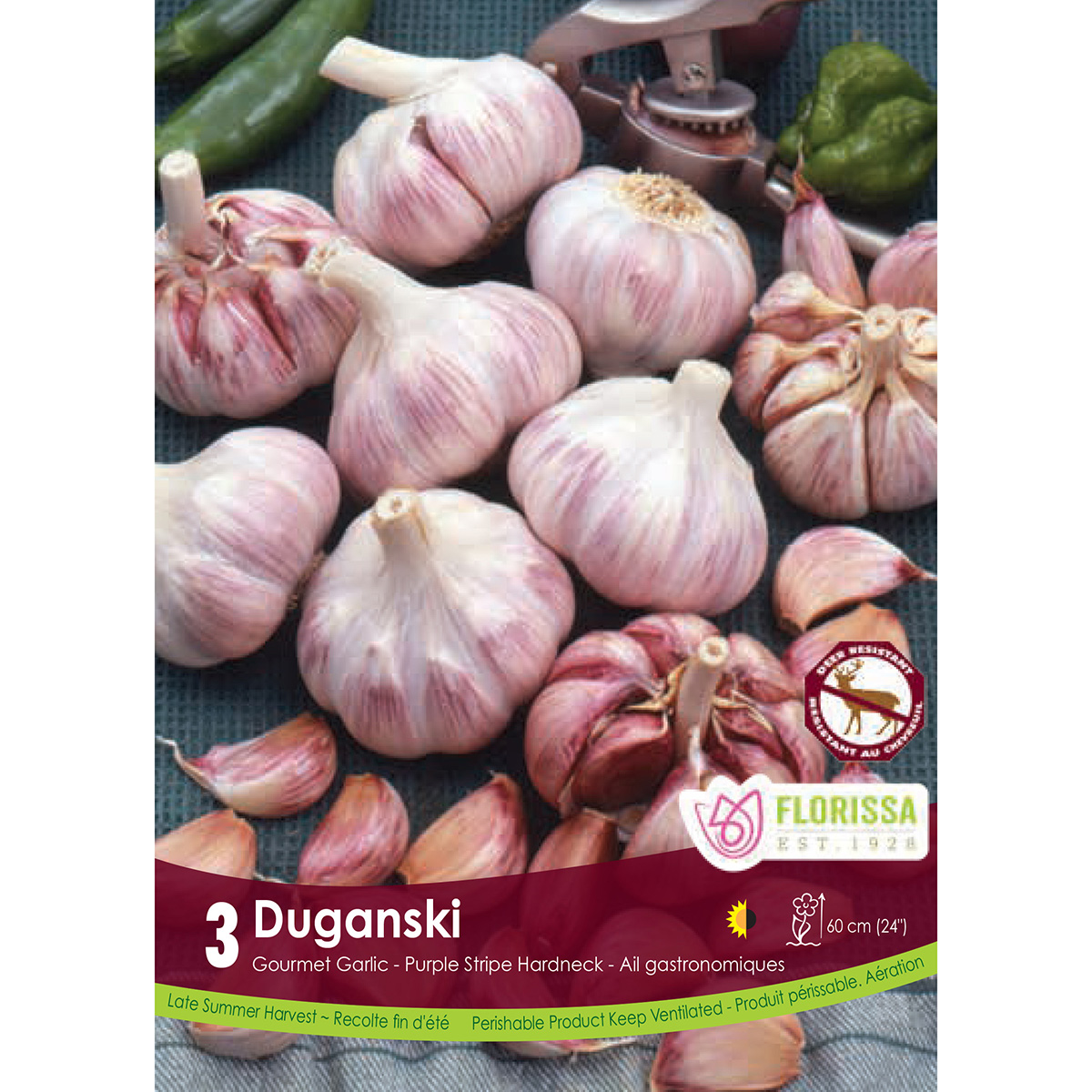 Garlic 'Duganski' Bulbs 3PK