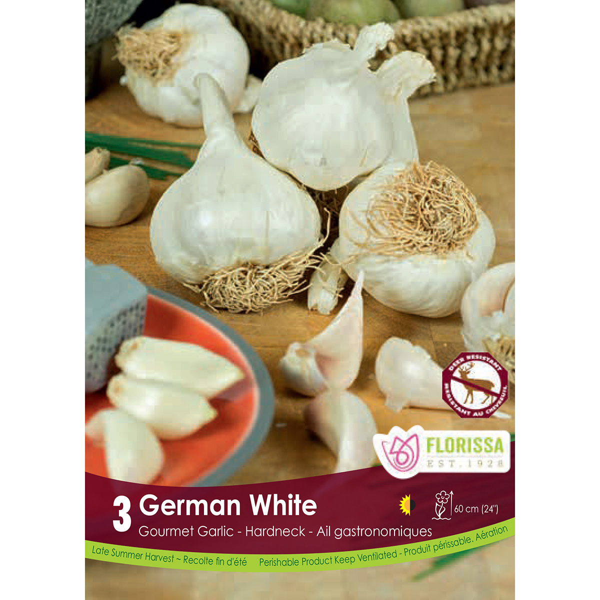 Garlic 'German White Hardneck' Bulbs 3PK