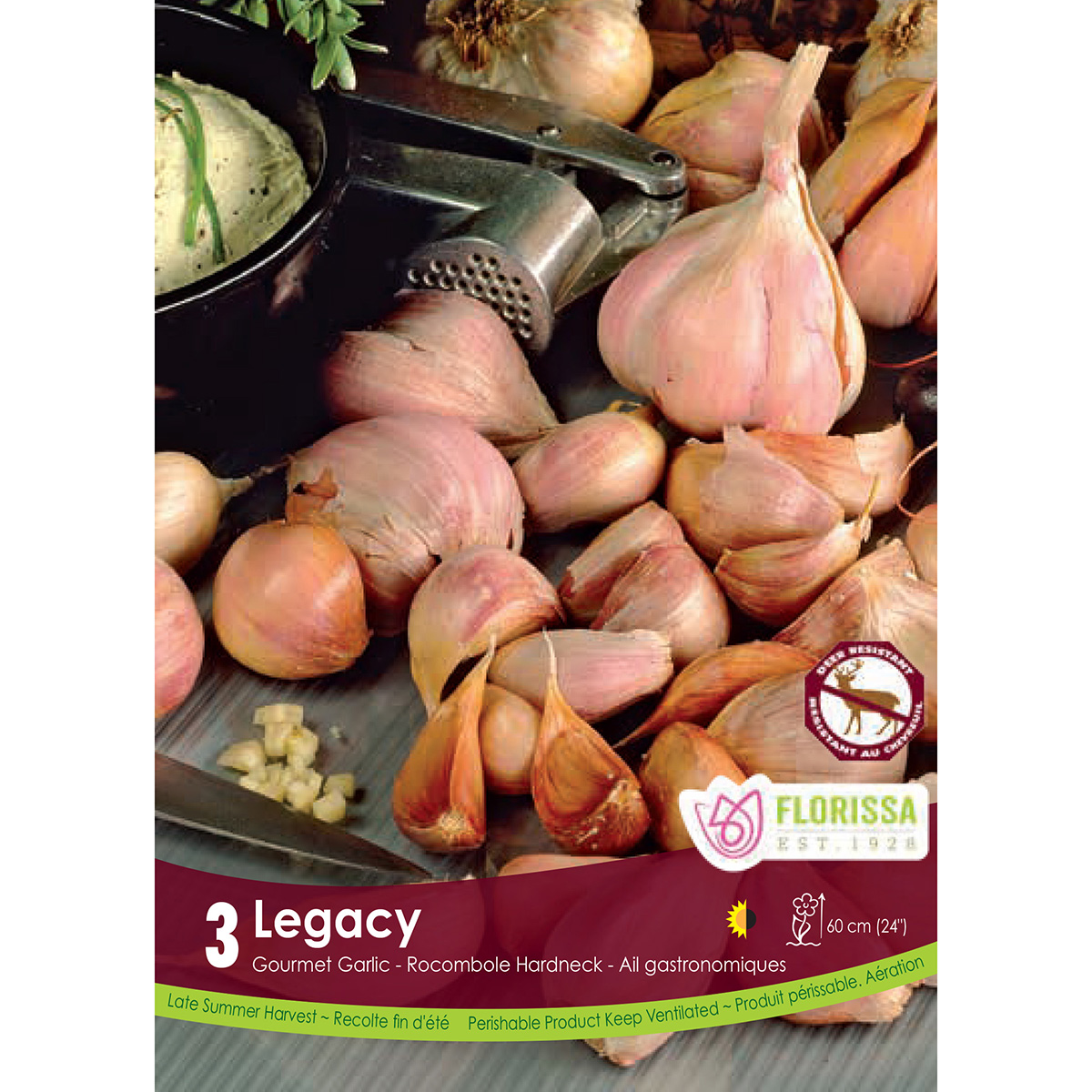 Garlic 'Legacy' Bulbs 3PK
