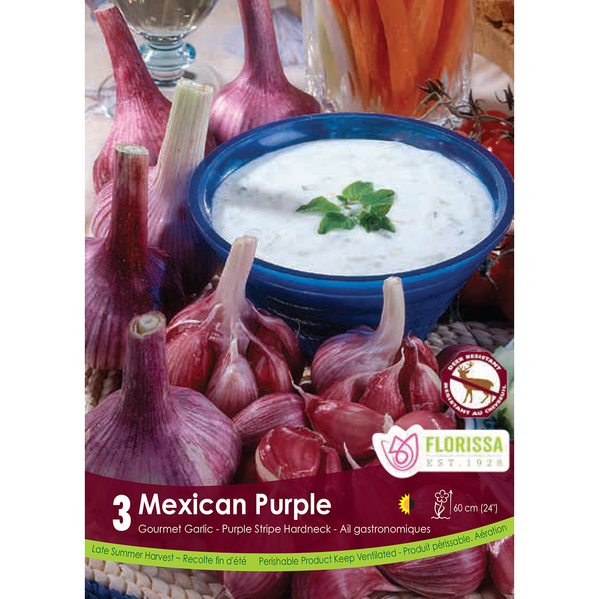 Garlic 'Mexican Purple' Bulbs 3PK