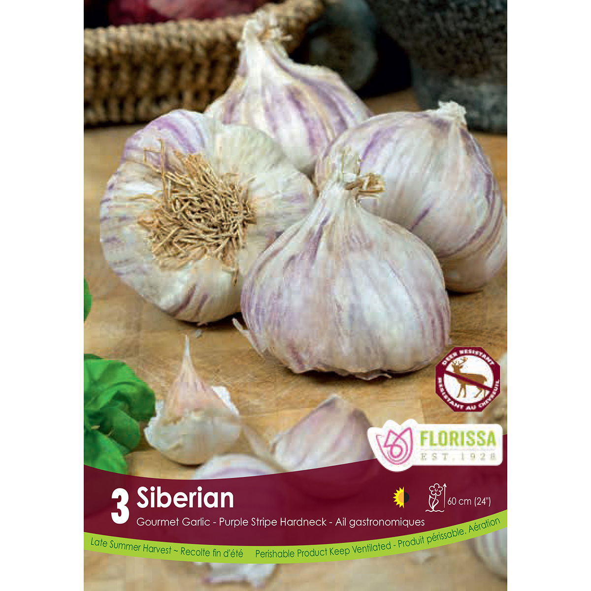Garlic 'Siberian' Bulbs 3PK