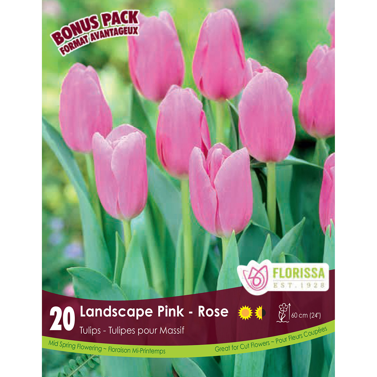 Tulipa 'Landscape Pink' Bulbs 20PK
