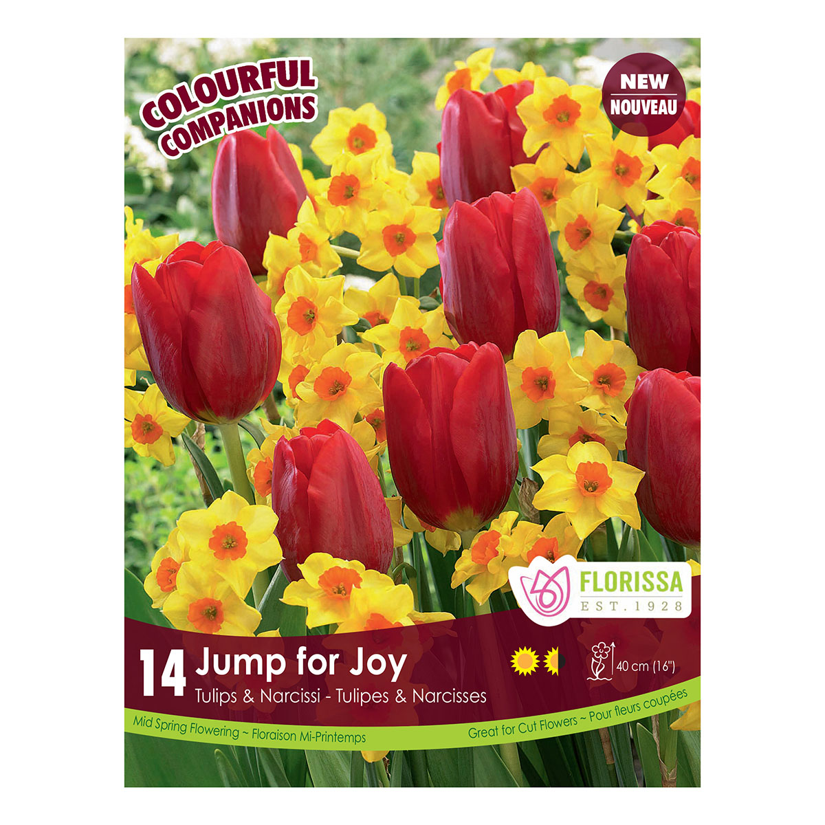 Colorful Companions 'Jump for Joy' 12PK