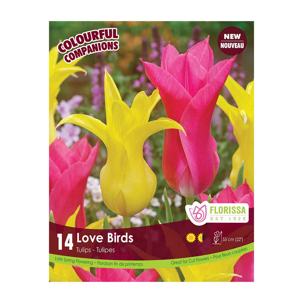Colourful Companions Tulipa 'Love Birds' 14PK  