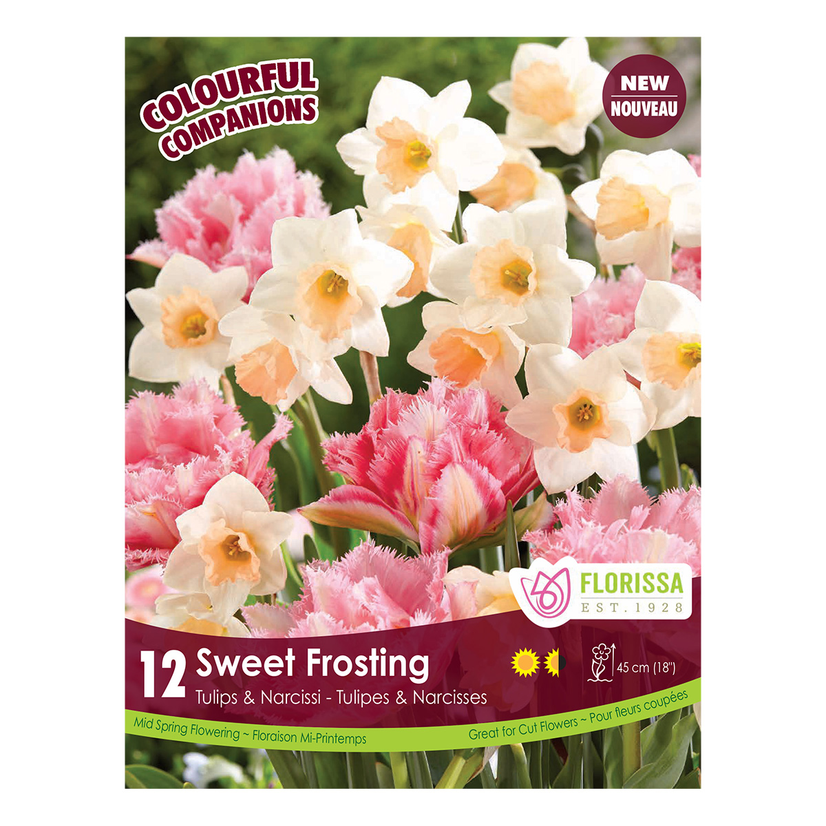 Colorful Companions 'Sweet Frosting'  12PK