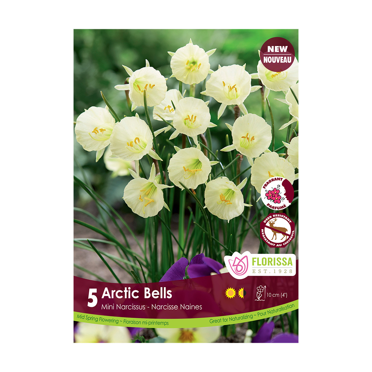 Narcissus 'Arctic Bells Tops' Bulbs 5PK