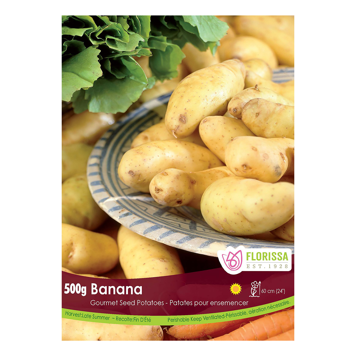 Banana Gourmet Seed Potatoes 500g