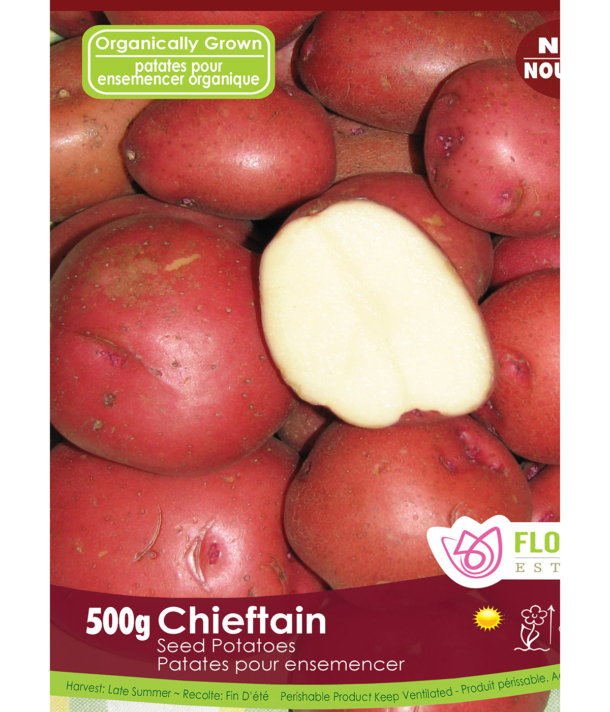 Seed Potato 'Chieftain Organic' 