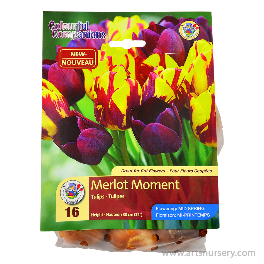 Merlot Mo