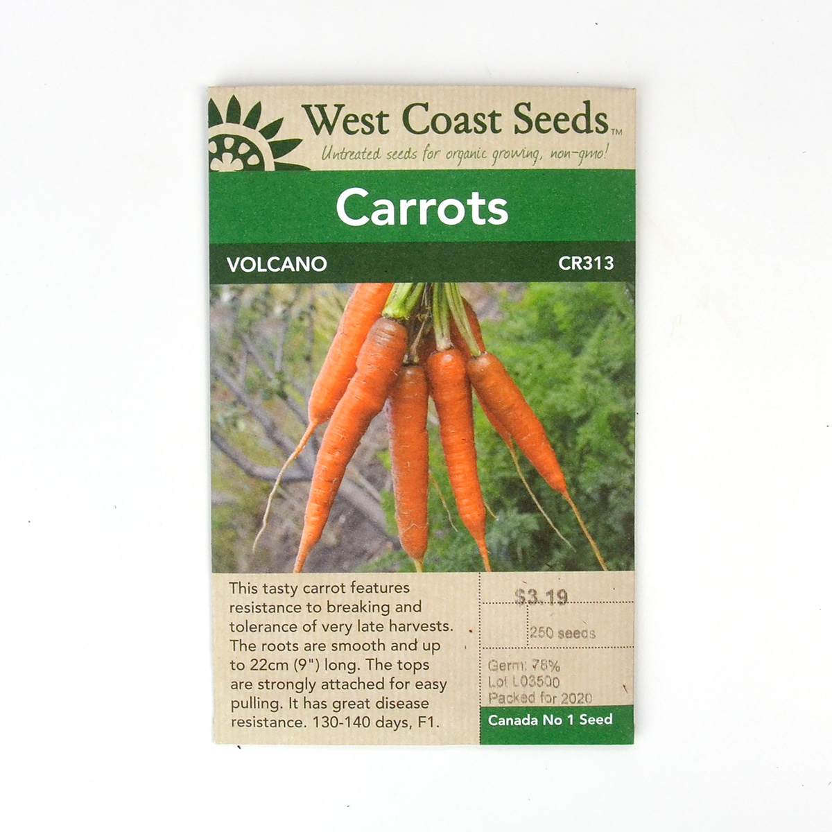 Carrot Volcano Seeds CR313