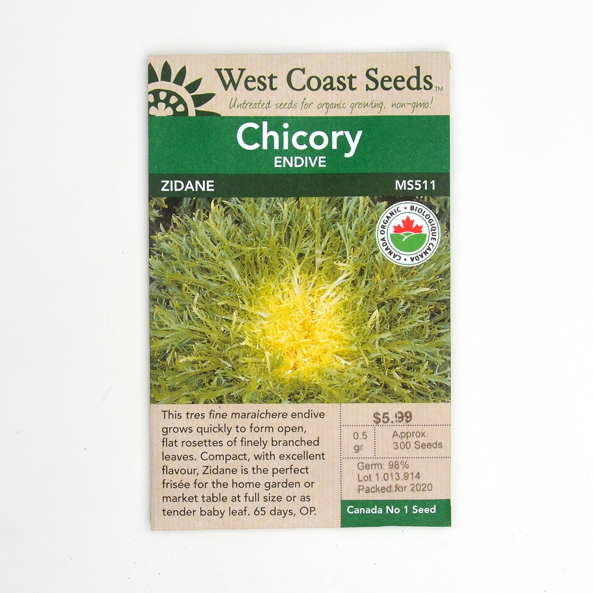 Chicory Endive Zidane Seeds MS511