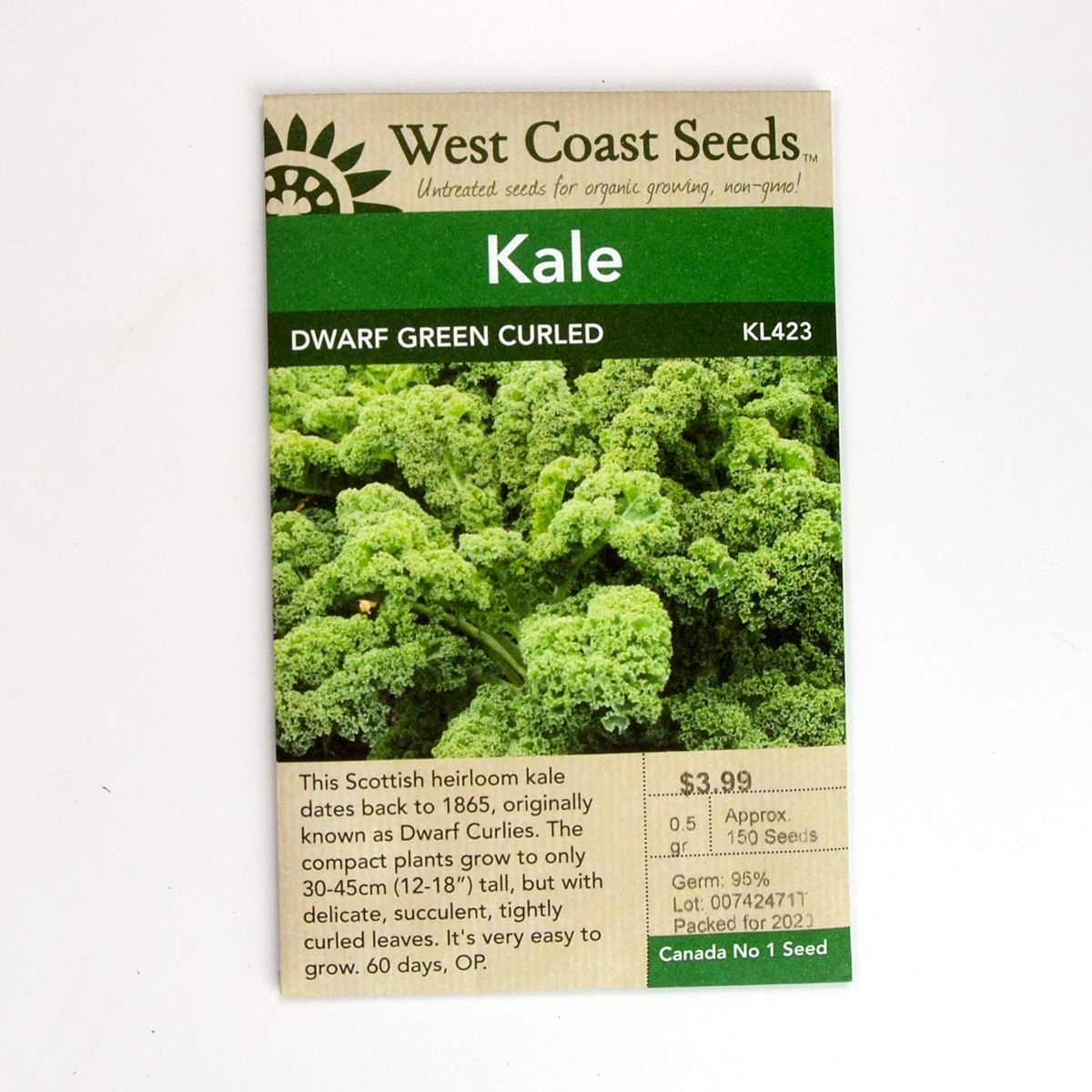 Kale Dwarf Green Curled Seeds KL423