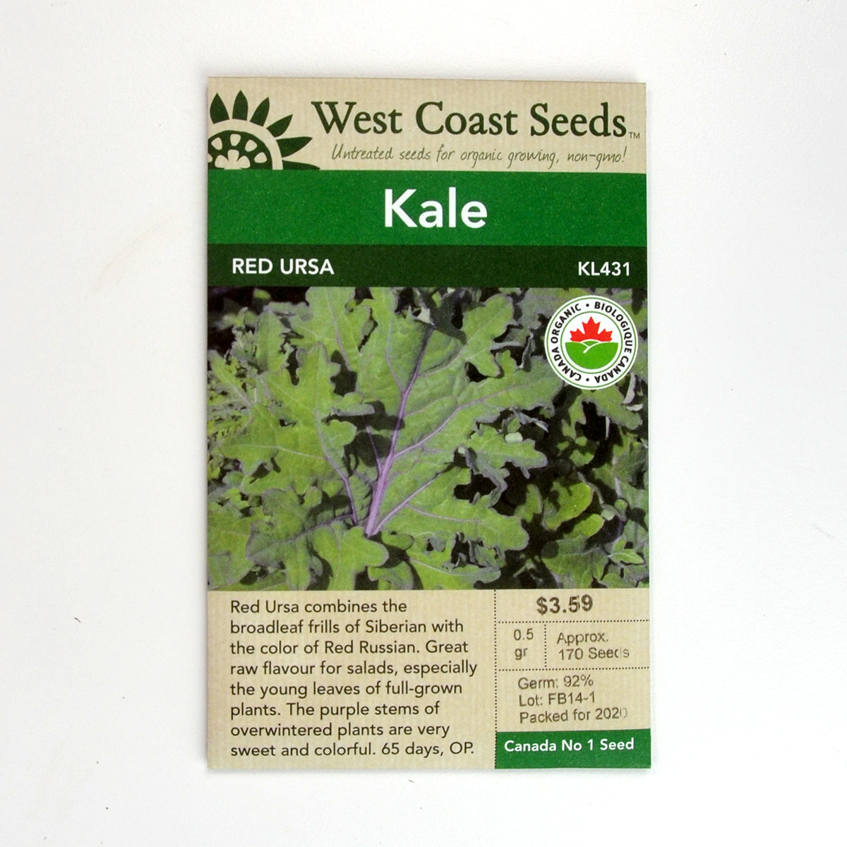 Red Ursa Kale Seeds KL431