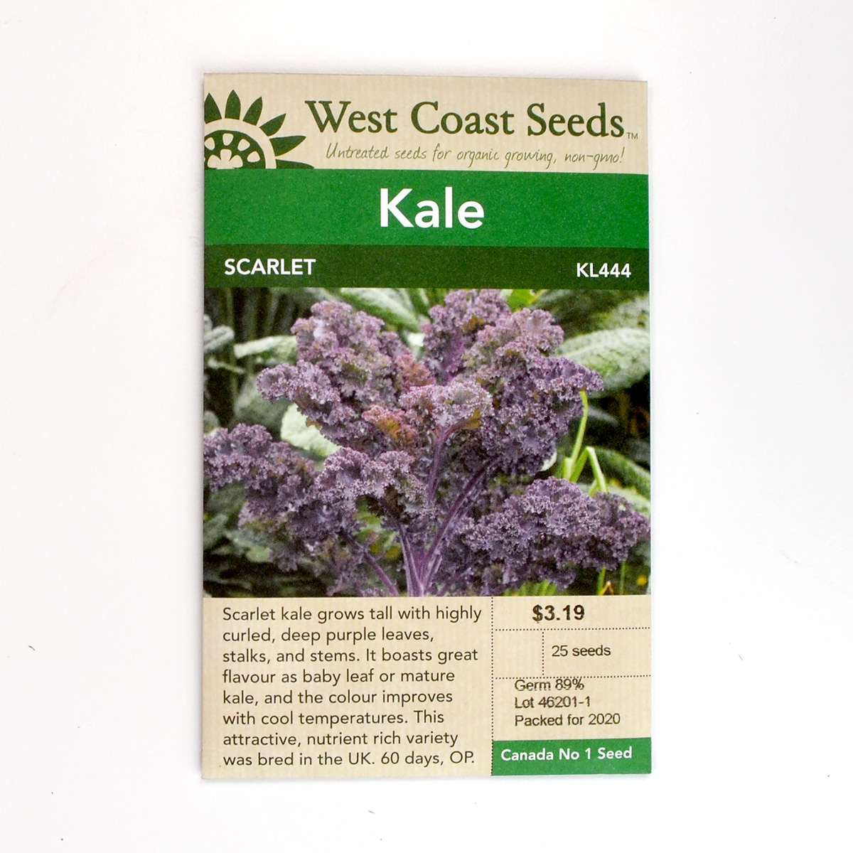 Kale Scarlet Seeds KL444