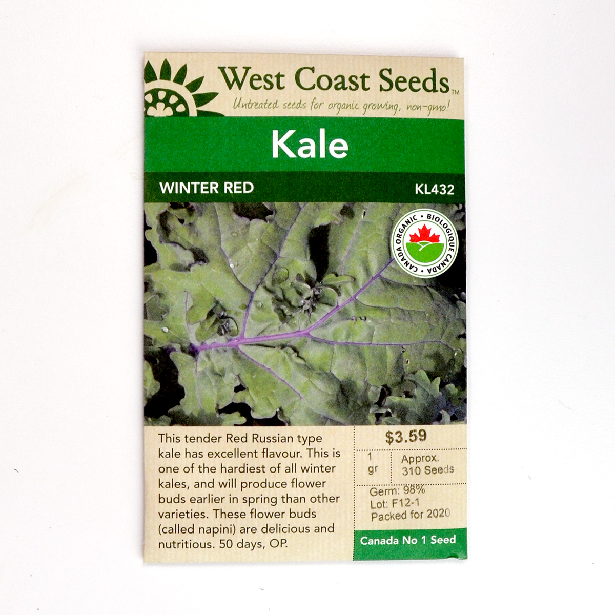 Kale Winter Red Seeds KL432