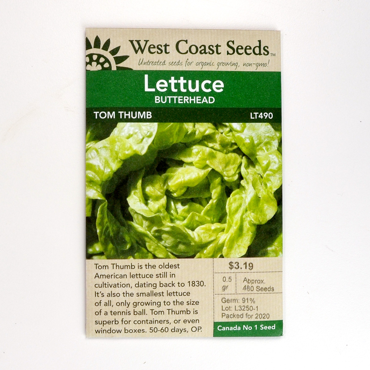 Lettuce - Tom Thumb Seeds LT490