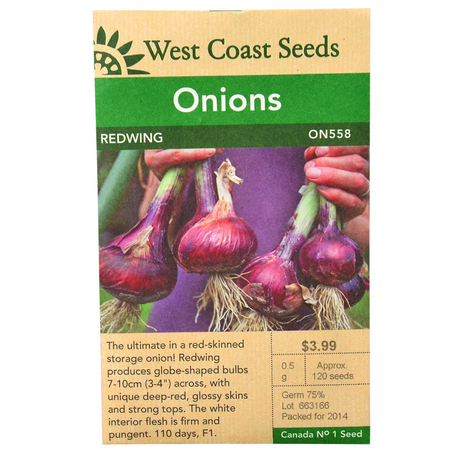 Onions Redwing Seeds ON558