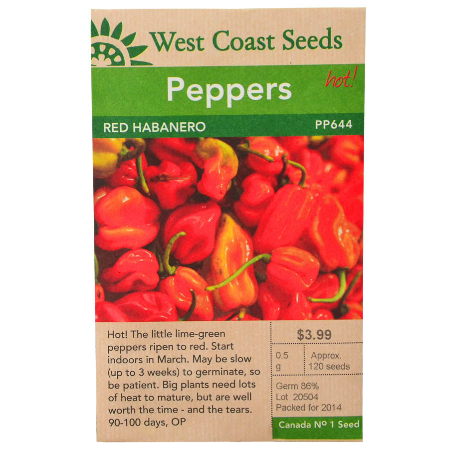 Pepper Red Habanero Seeds PP644