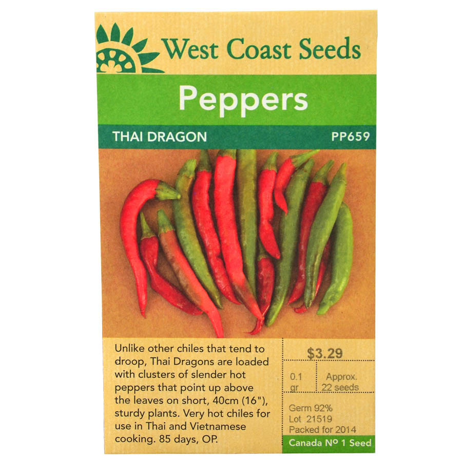 Pepper Thai Dragon Seeds PP659