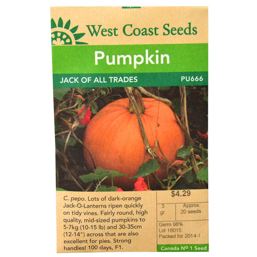 Pumpkin Jack of All Trades Seeds PPU666