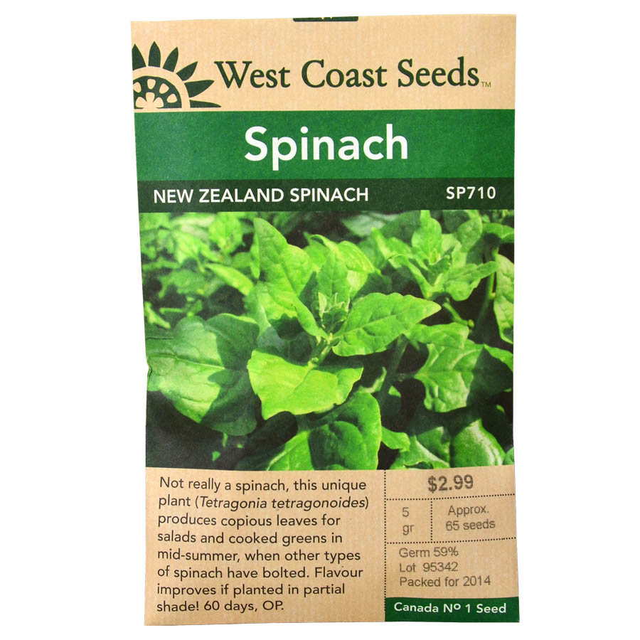 Spinach New Zealand Spinach Seeds SP710