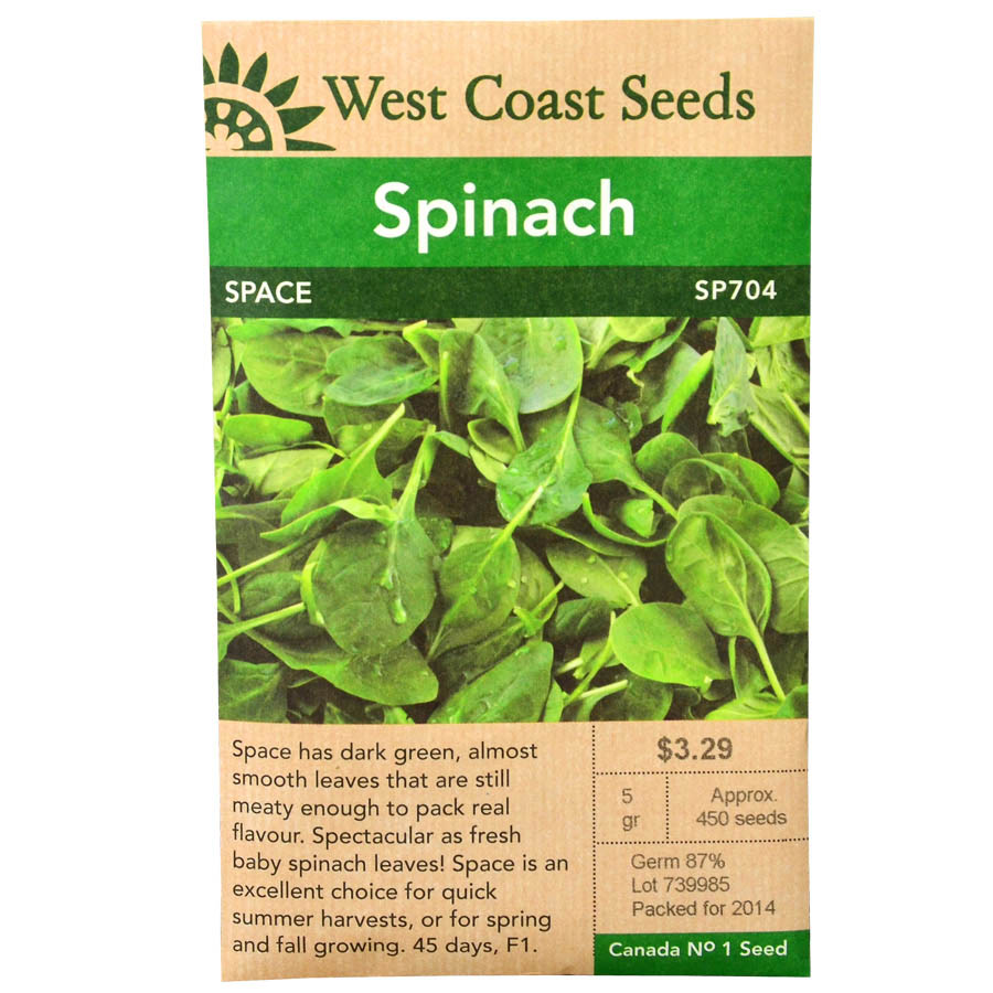 Spinach Space Seeds SP704