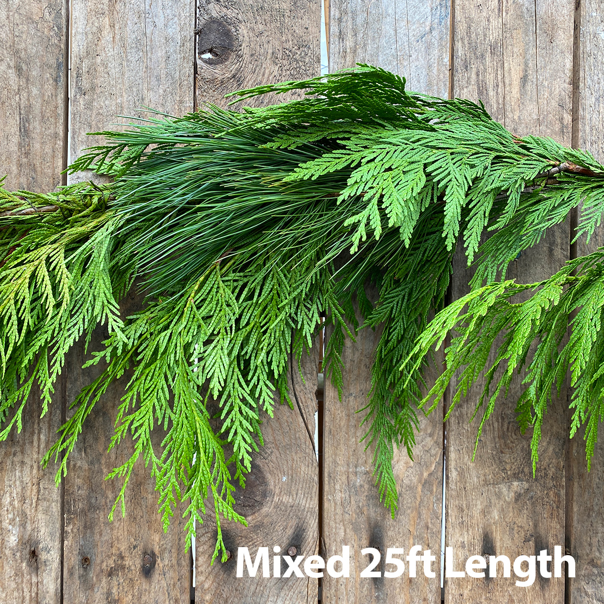 Christmas Greens - Mixed Garland 25ft