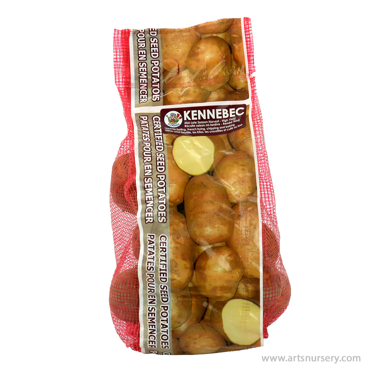 Seed Potatoes 'Kennebec'