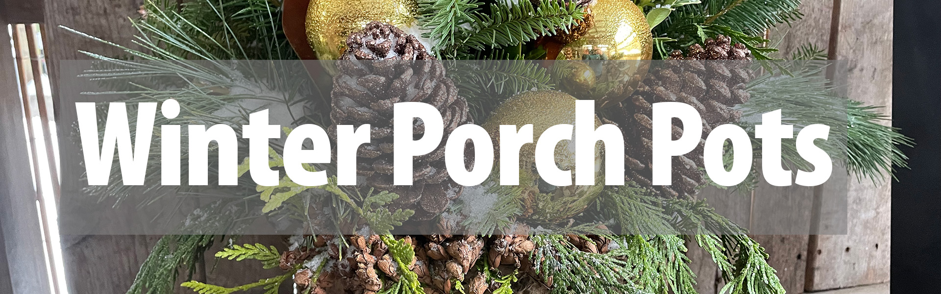 Winter Porch Pots