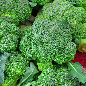 Seeds - Broccoli