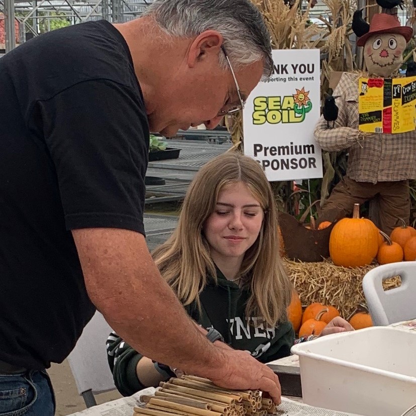 Harvesting Mason Bees