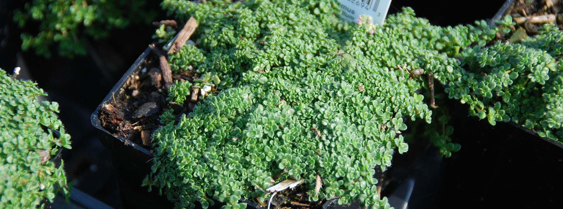 bulk materials banner