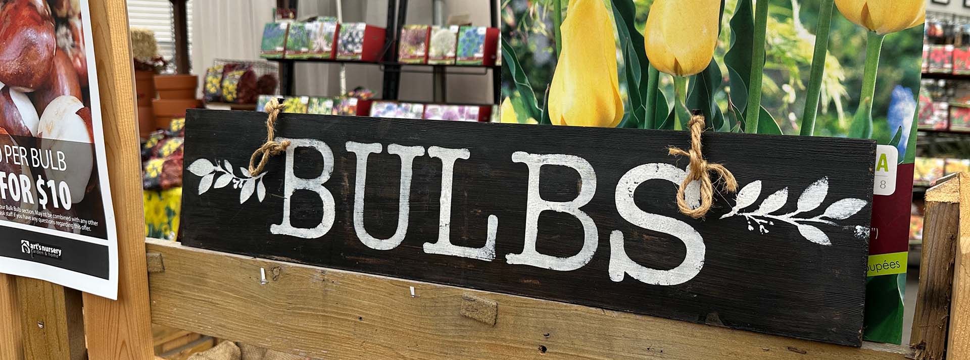banner_bulbs.jpg