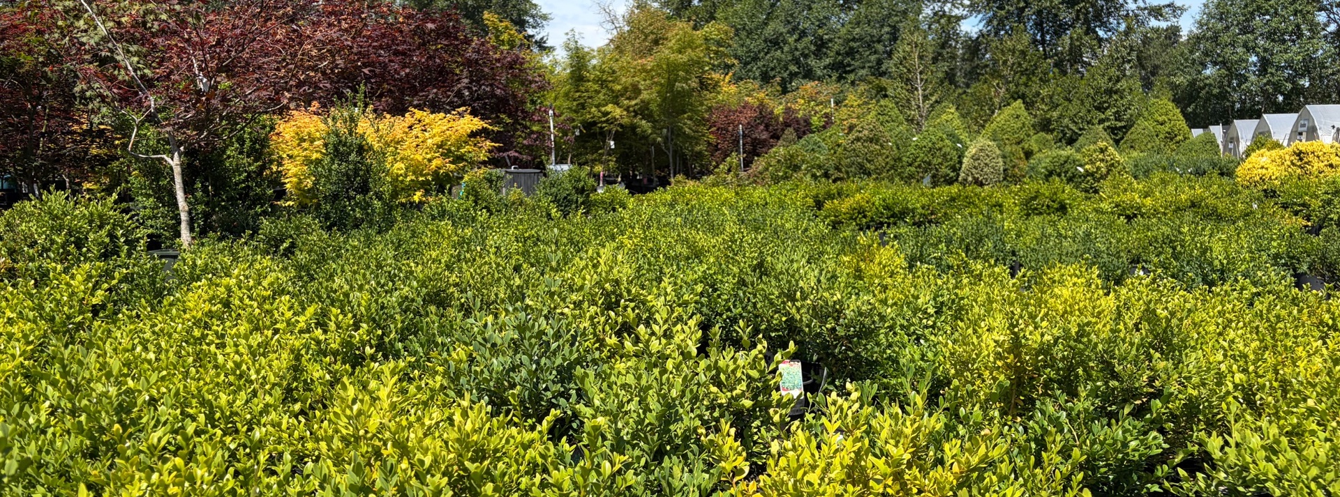 cropped_banner_1920x713.jpg