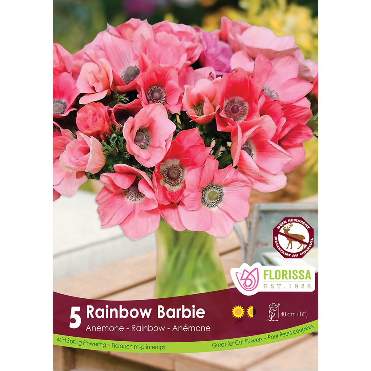 Anemone-RainbowBarbie.jpg