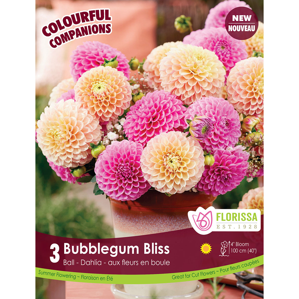 CC Bubblegum Bliss.jpg