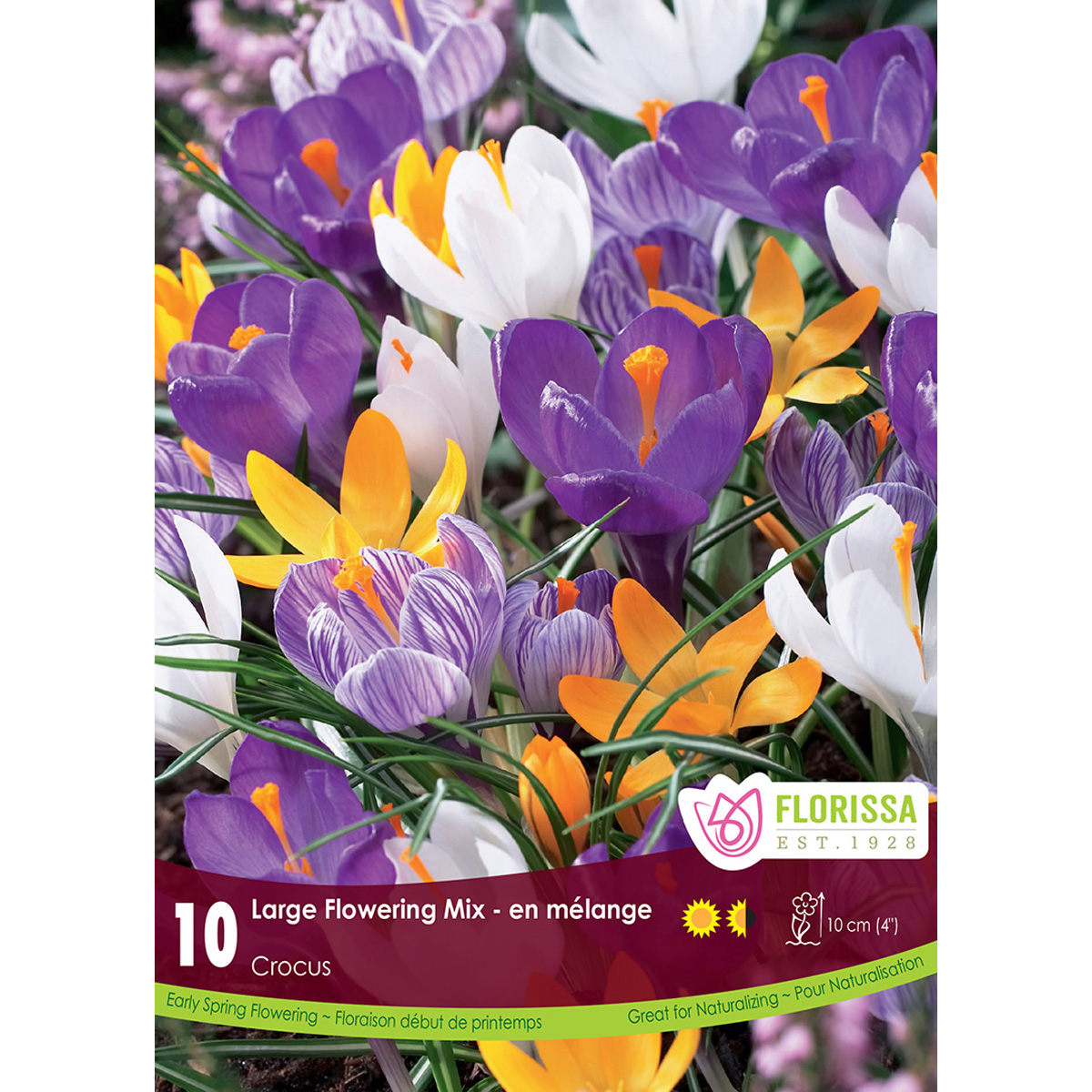 Crocus-Mix.jpg