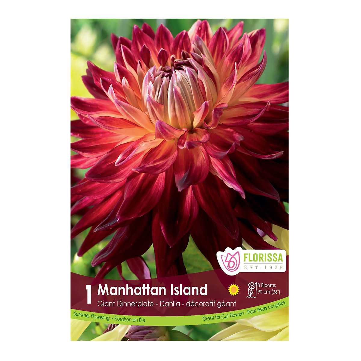 Dahlia_ManhattanIsland.jpg