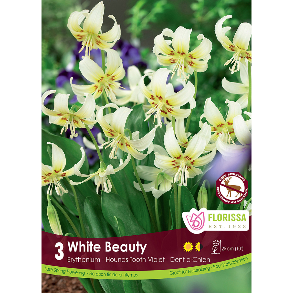 Erythonium-WhiteBeauty.jpg