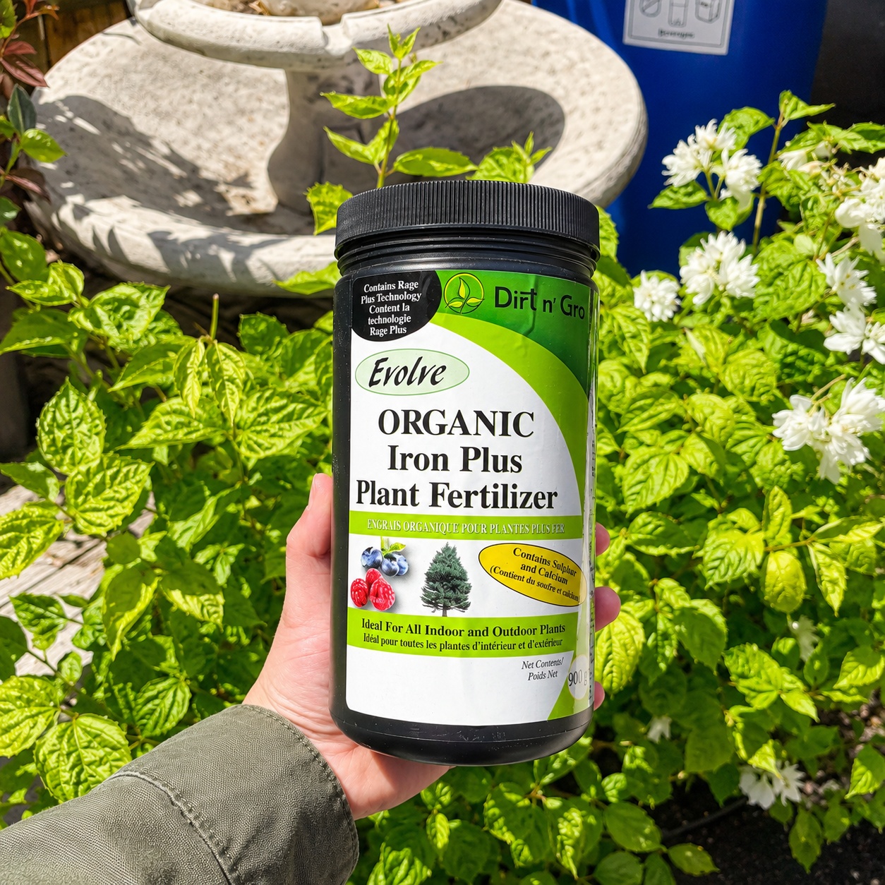 Evolve_Organic_Iron_Plus_1200x1200 (1).jpg