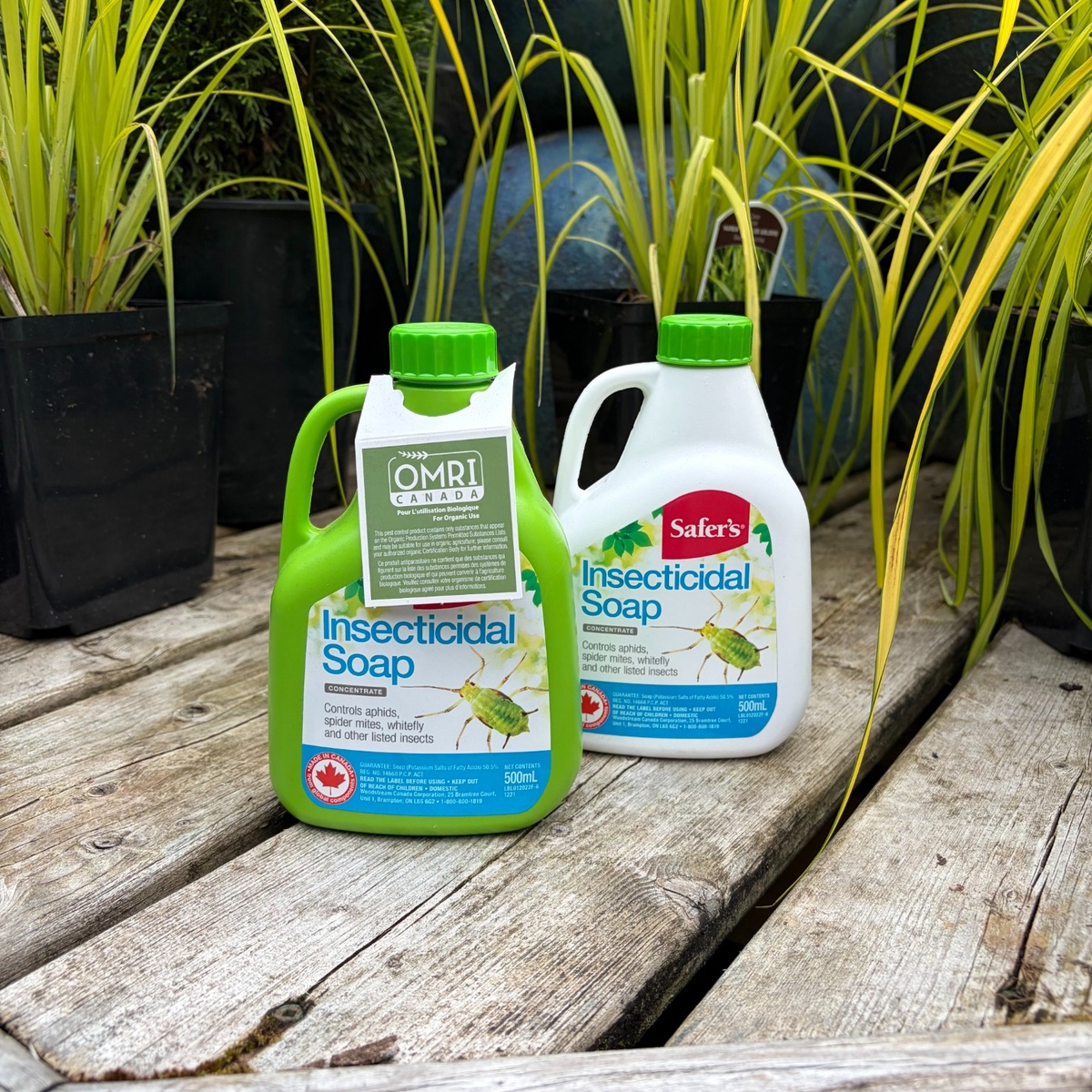 Insecticidal_Soap_1200x1200.jpg