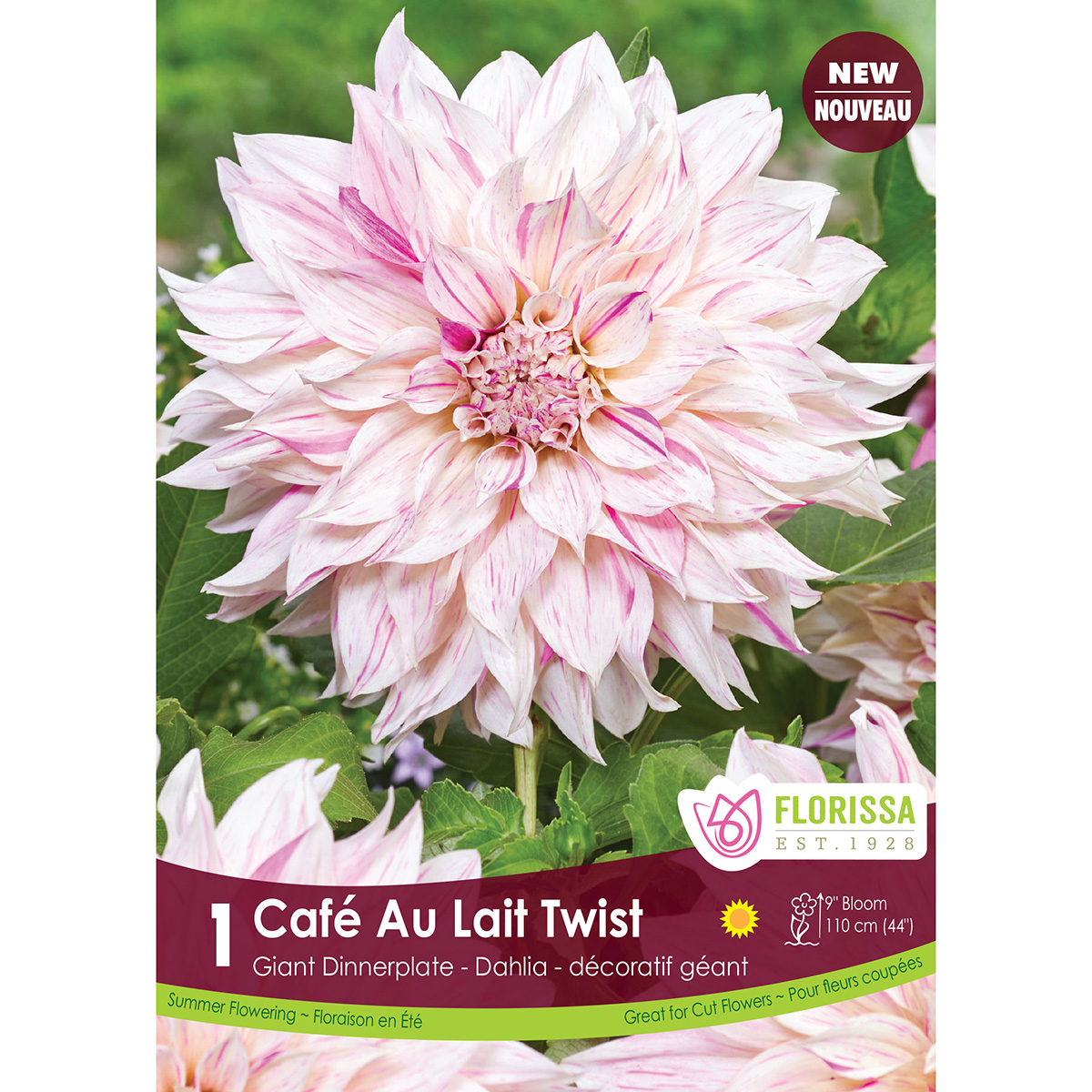 LG Kep Dahlia Cafe au Lait Twister.jpg