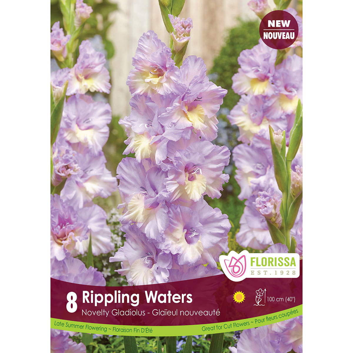 LG Kep Gladiolus Rippling Waters.jpg