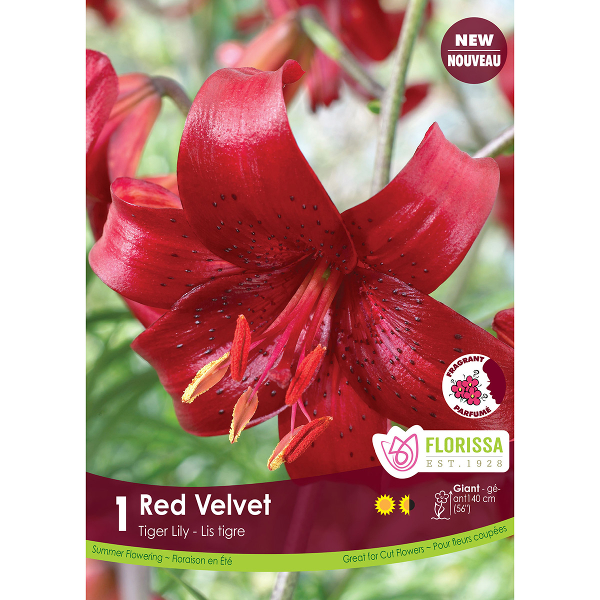 LGKep Lily Red Velvet.jpg
