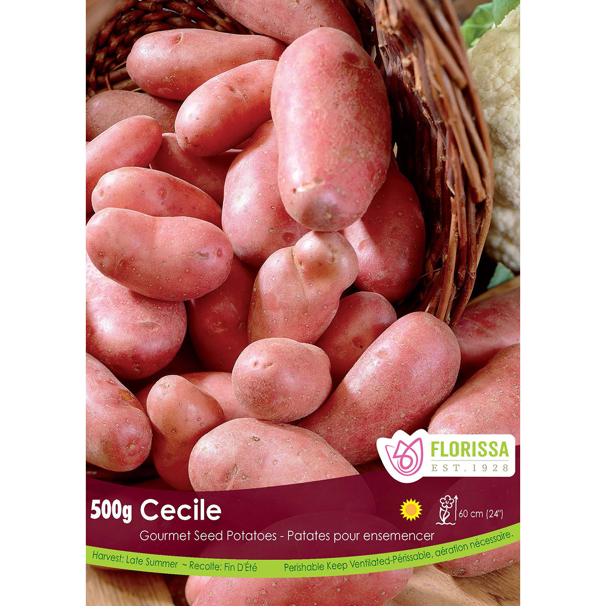 LGKep Potato Cecile.jpg