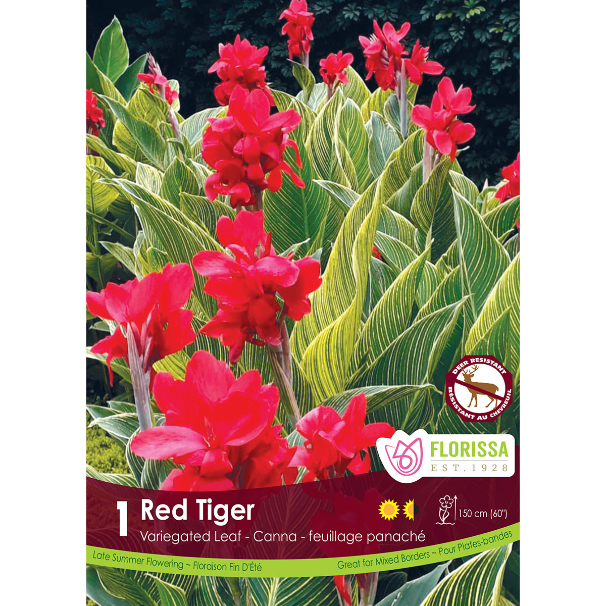 LgKep Canna Red Tiger.jpg